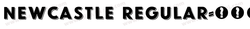 Newcastle Regular字体转换